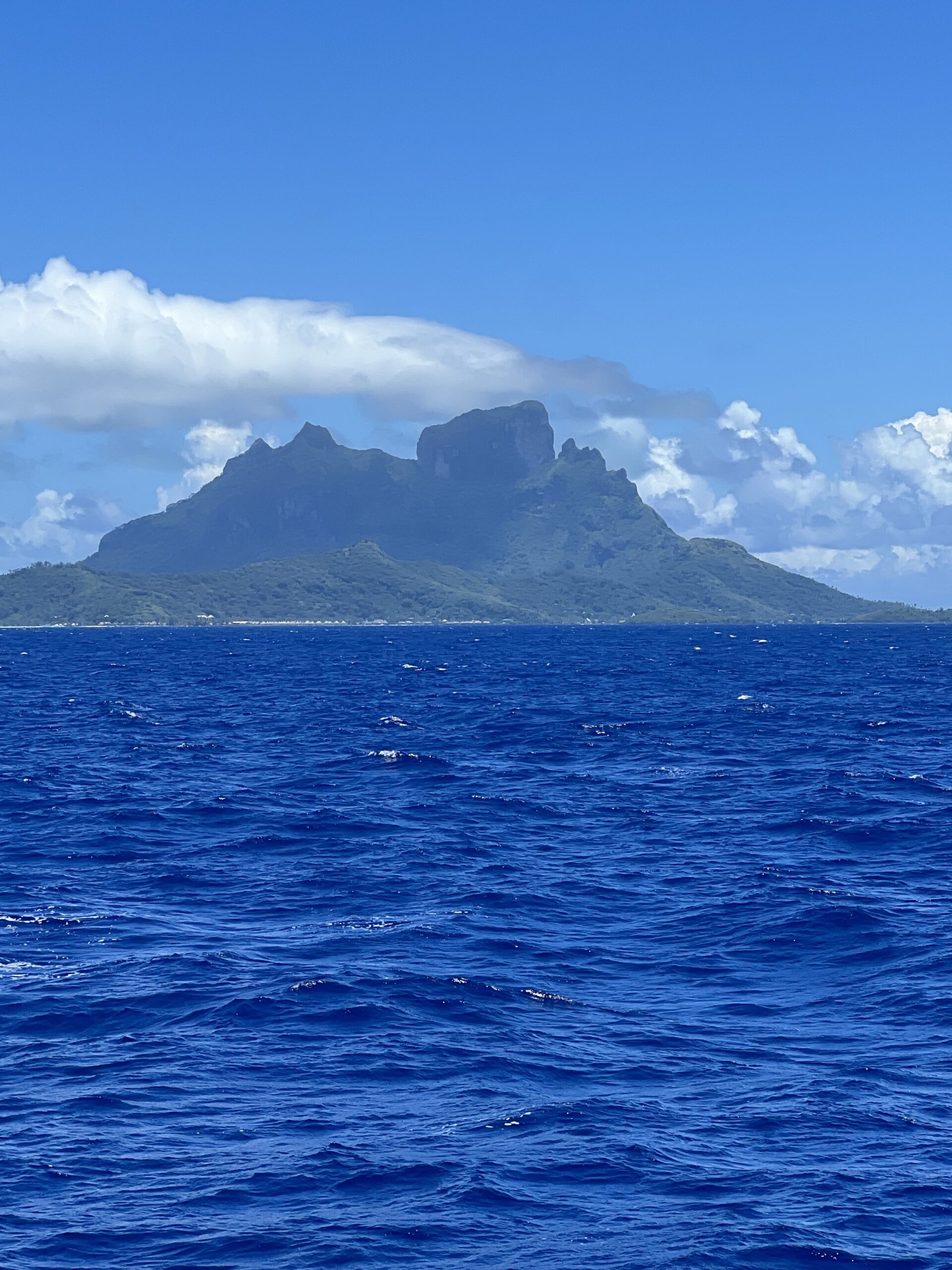 The Dive in Bora Bora