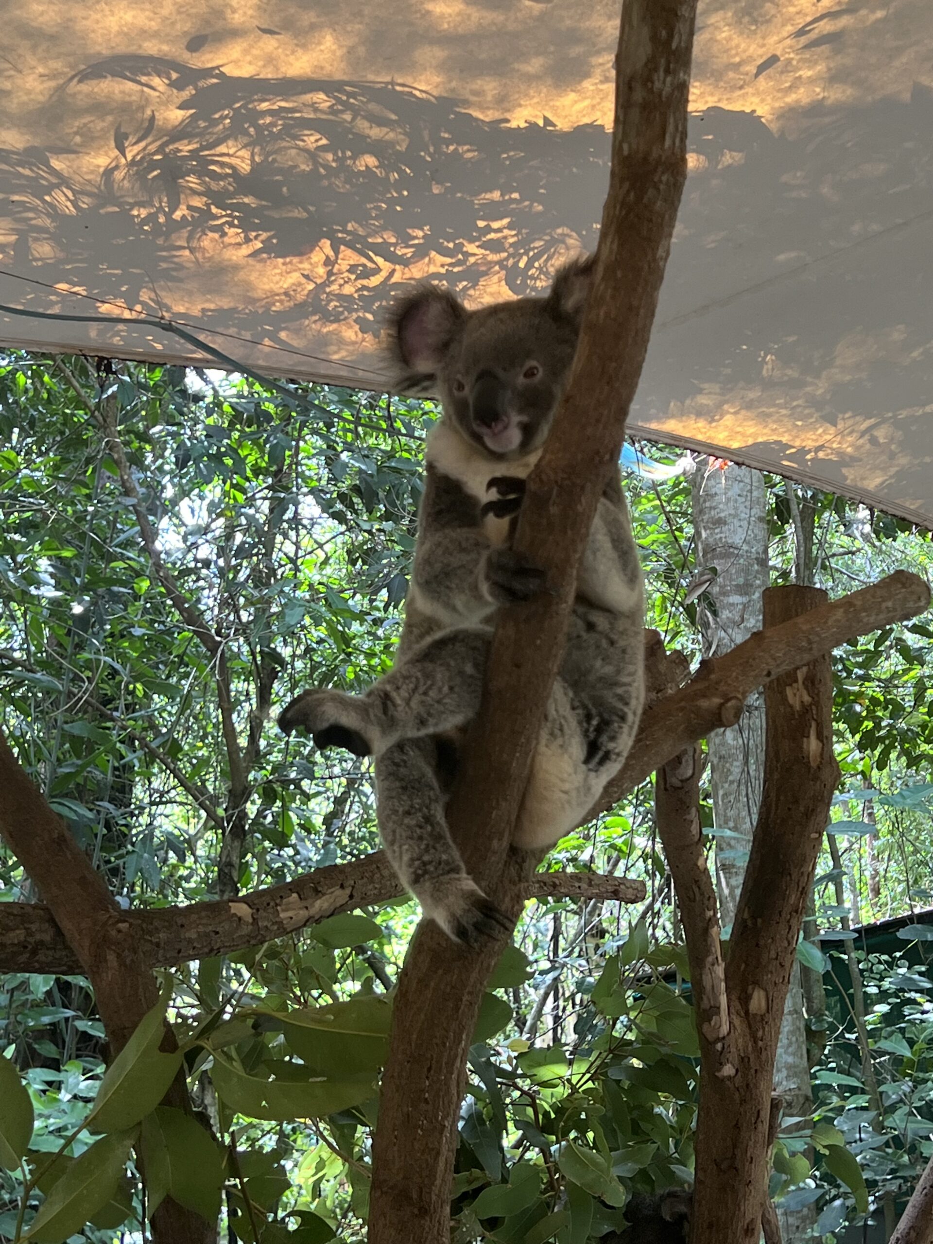 Cairns Australia