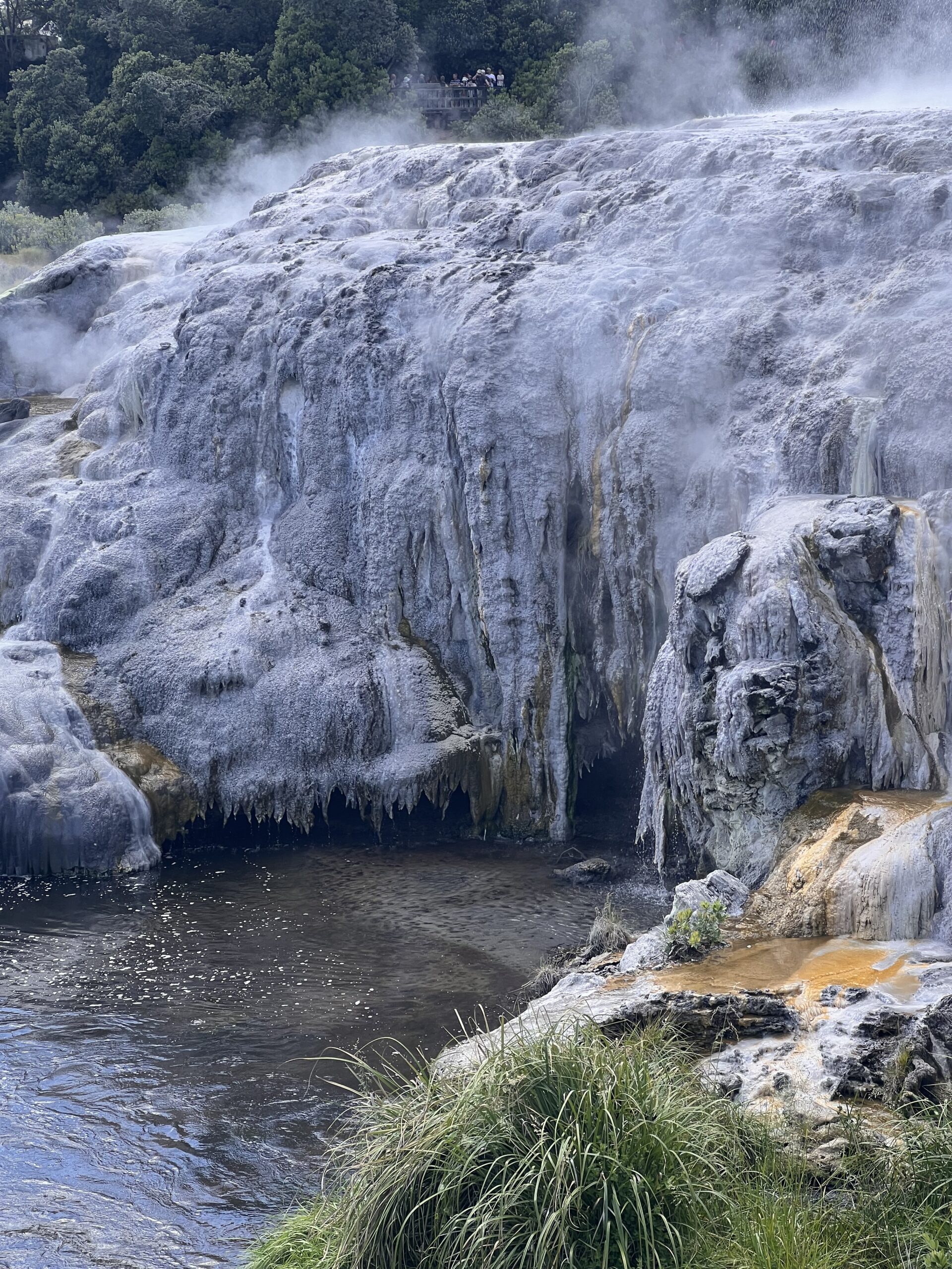 Expedition: Rotorua, New Zealand