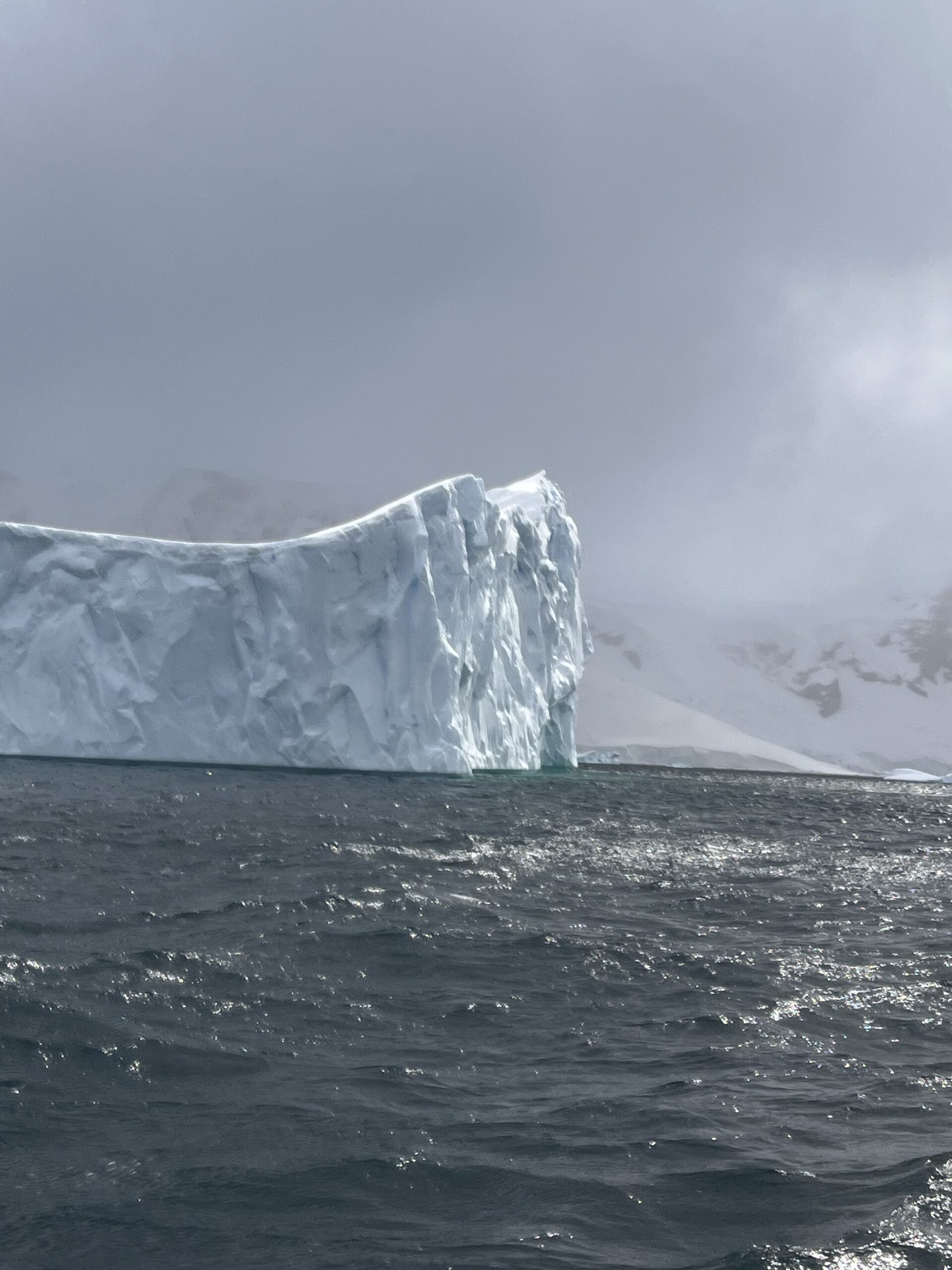 Photos from Antarctica!!!